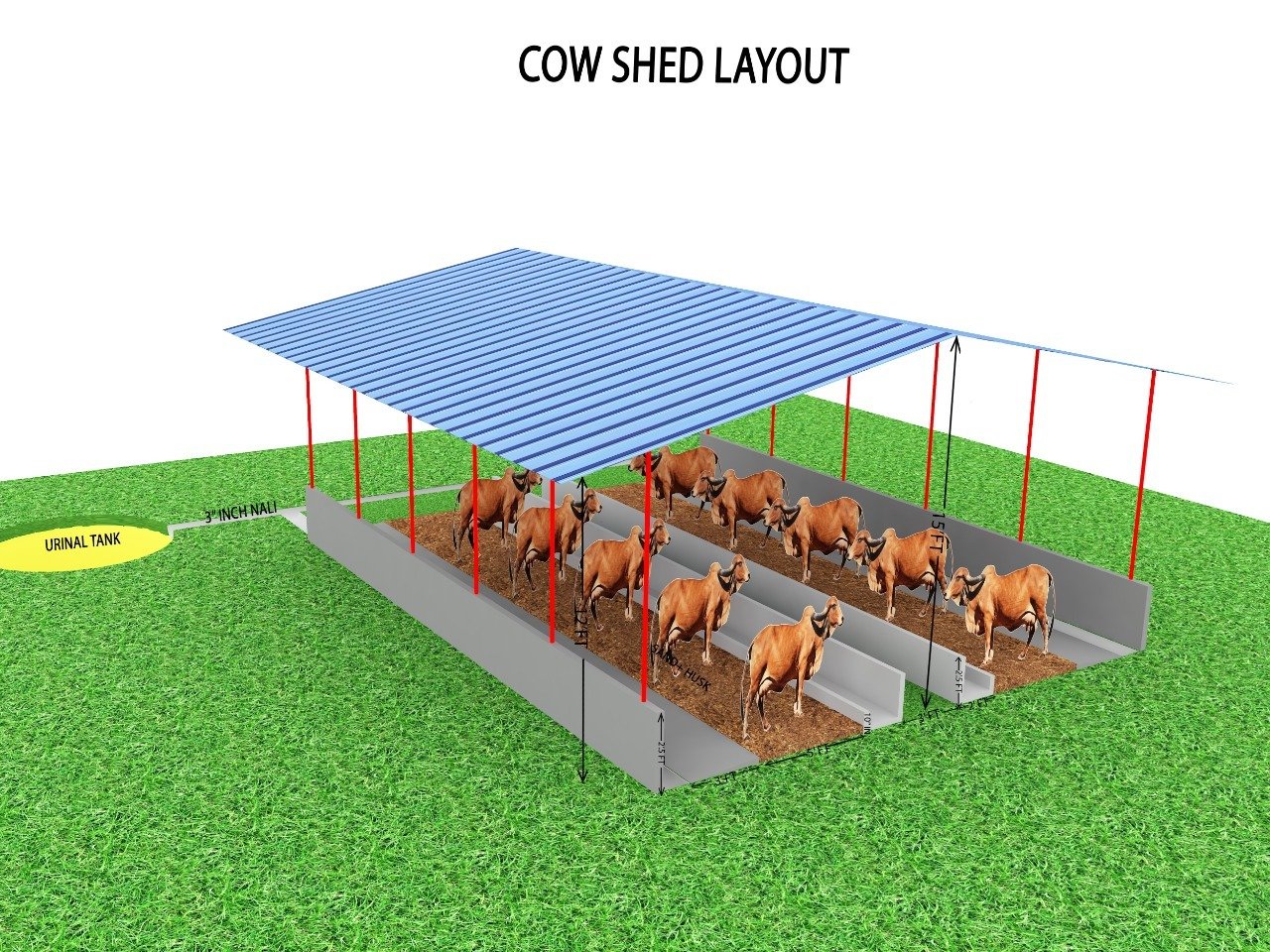 Cow Shed Layout