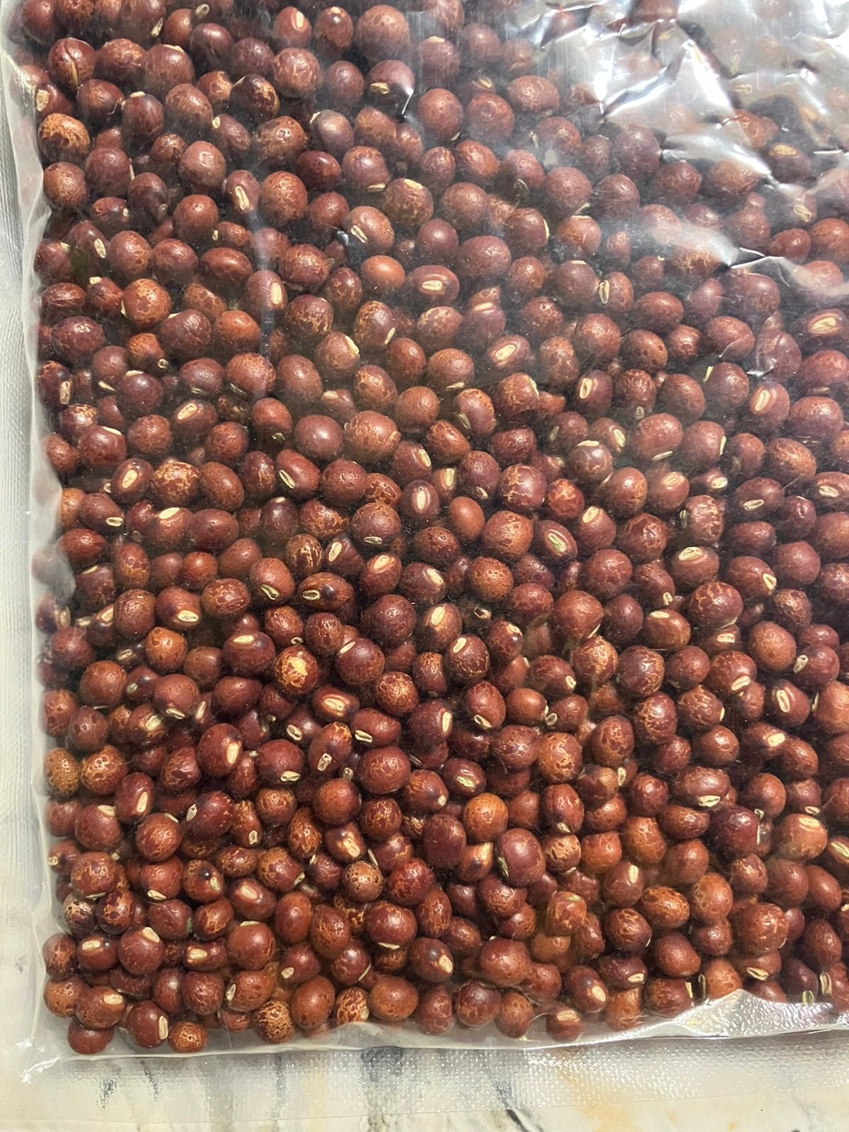 Toor (Arhar) Seed